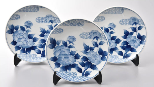 San Diego Ceramics Workshop features blue-and-white porcelain painting with Yunting Li. 
