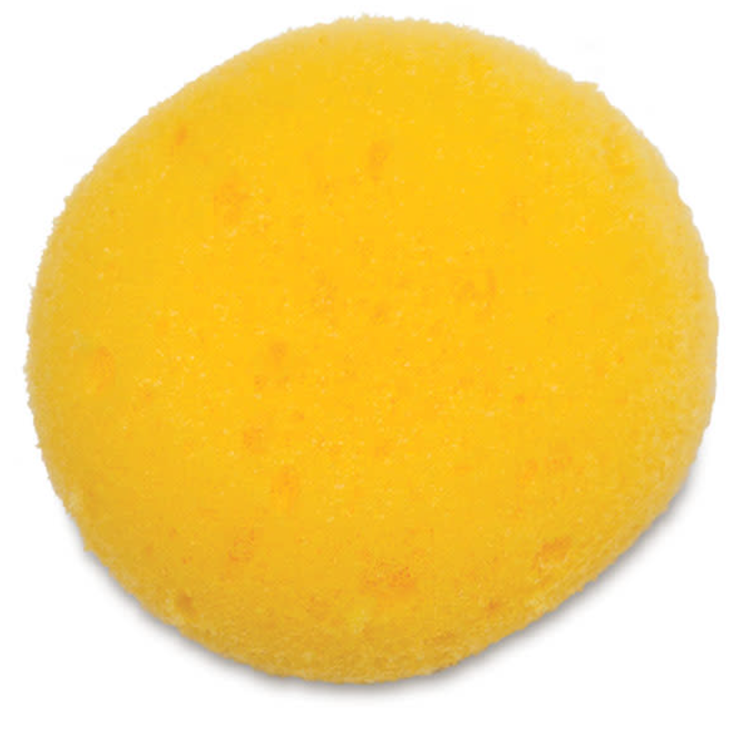 Potter's Sponge