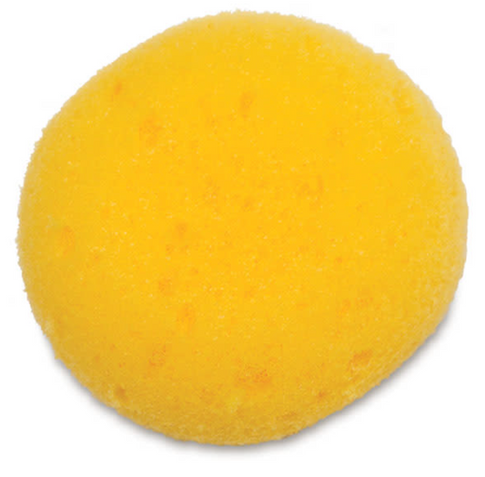 Potter's Sponge